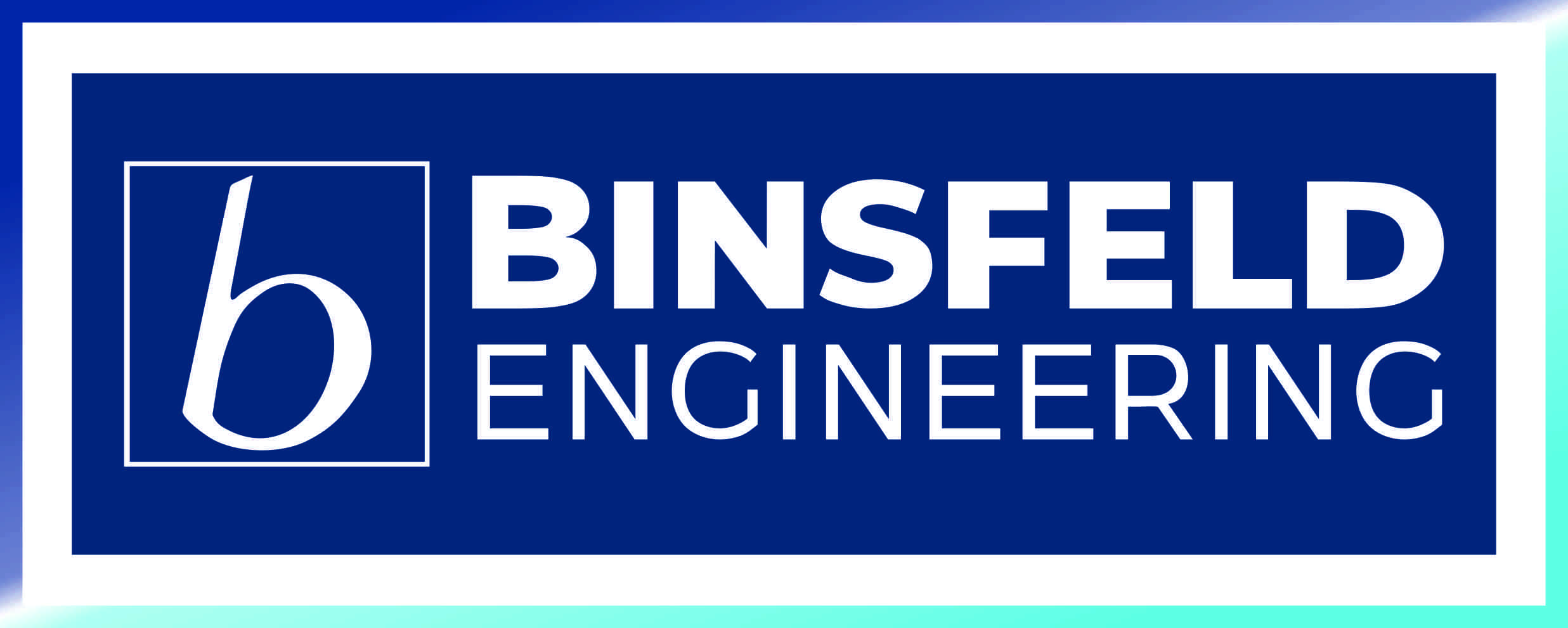 logo partner BINSFELD