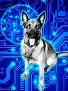 Hi Pro Electronics Security Officer