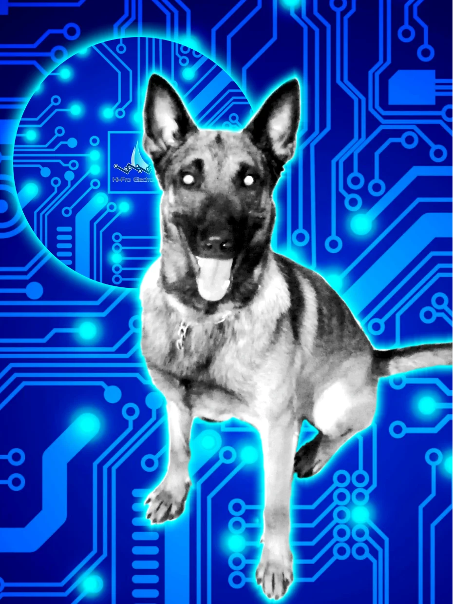 Hi Pro Electronics Security Officer